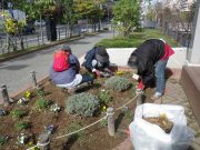 花くらぶ１０２６－２