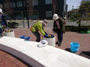 花くらぶ６１０