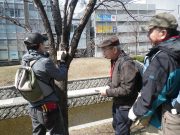 植物ボランティア３