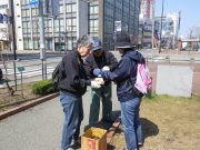 植物ボランティア４