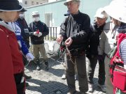 植物ボランティア1