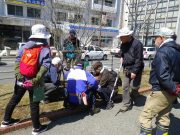 植物ボランティア８