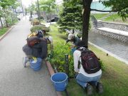 お助け隊スズラン花壇除草の様子