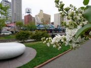 イーディスガヴェル