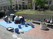 狸二条広場コンテナ花植えの様子2