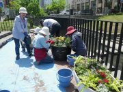狸二条広場コンテナ花植えの様子3
