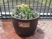 狸二条広場コンテナ樽