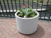 狸二条広場白コンテナ