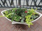 狸二条広場コンテナ舟形の花