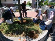 5月29日植物ボランティア1