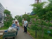 6月5日植物ボランティア1