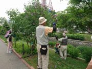 6月5日植物ボランティア2