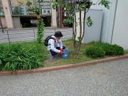 6月20日お助け隊2