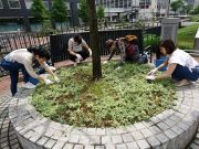 7月6日お助け隊4