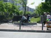 5月22日植物ボランティア1