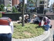 6月6日お助け隊2