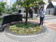 6月6日お助け隊4