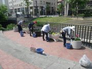 6月7日花くらぶ