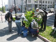 6月19日植物ボランティア1