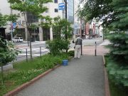 6月26日植物ボランティア2