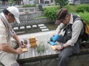 花名板を設置用の針金に止めている写真その１