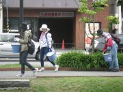 ヘメロカリスの花がら摘みをしている写真