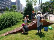 団塚栄喜の2つのモイワを掃除する子ども達