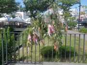 出来上がった七夕飾りその2