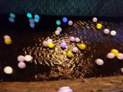 キャンドルストリームのLDE入り風船が流れる様子