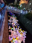 キャンドルストリームの5000個の風船が川を流れる様子