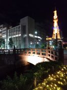 ライトアップされた創成橋の写真北向き
