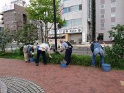 9月4日の植物ボランティアでヘメロカリス花壇の管理の様子