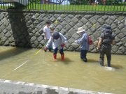7月11日のお助け隊で川の調査の様子4