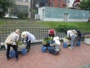 7月19日の花くらぶでコンテナの管理をする様子1