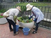 7月19日の花くらぶでコンテナの管理をする様子2