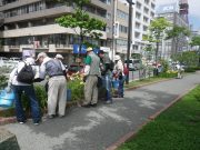 7月24日の植物ボランティアでヘメロカリスの花がらを摘む様子1