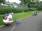 8月22日もお助け隊で園路の除草をする様子2