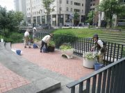 8月23日の花くらぶでコンテナのお手入れをする様子