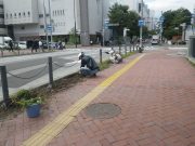 8月28日の植物ボランティアで歩道で除草する様子