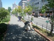 9月11日の植物ボランティアで園路の除草をする様子