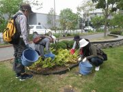9月26日のお助け隊でするラン花壇の除草をする様子