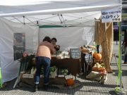 ハロウィンカボチャと秋の野菜販売のさっぽろできるだけプロジェクトさんのお店の様子