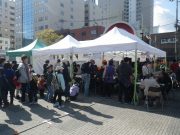 ランタンづくりに順番待ちをする人たちの列の様子