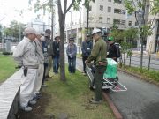 10月2日の植物ボランティアで先生の指導を受けるボランティアさんたち1