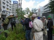 10月2日の植物ボランティアで先生の指導を受けるボランティアさんたち2