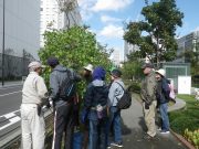 10月2日の植物ボランティアで先生の指導を受けるボランティアさんたち3