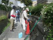 10月3日のお助け隊でベンチ塗装するボランティア2