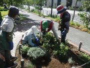 10月4日の花くらぶで花壇の手入れをするボランティア1