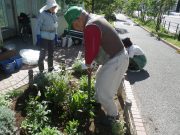 10月4日の花くらぶで花壇の手入れをするボランティア2