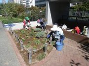 10月4日の花くらぶで花壇の手入れをするボランティア4